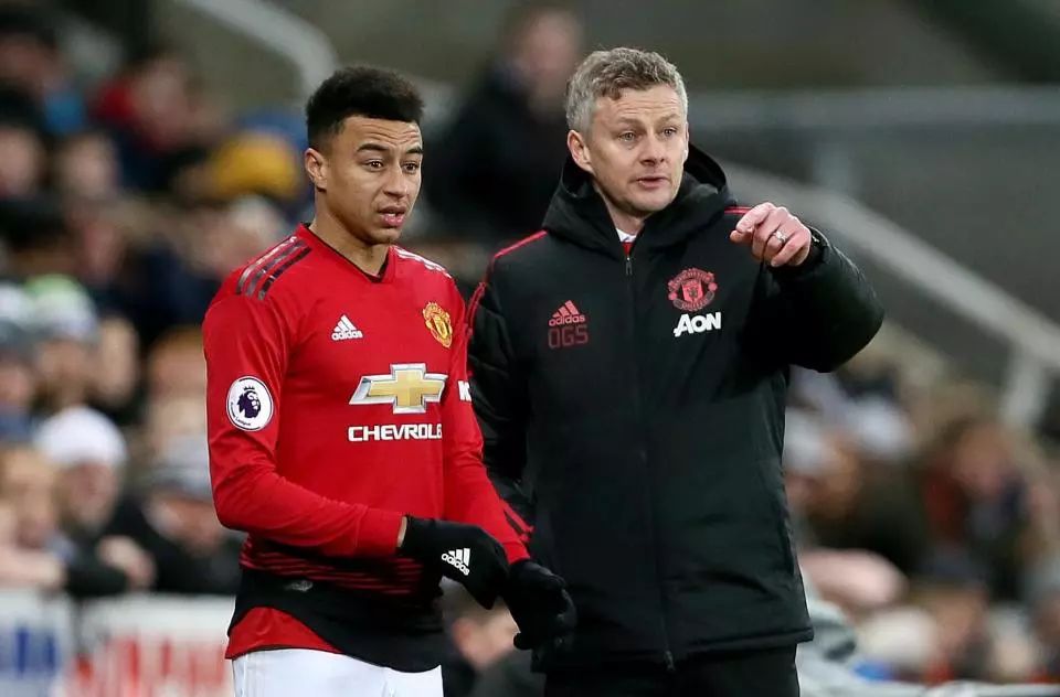 究竟花落谁 究竟花落谁